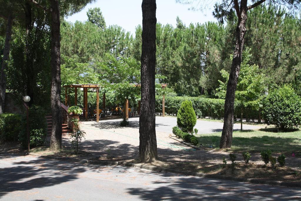 Hotel Ristorante Il Pino تشيوسي المظهر الخارجي الصورة
